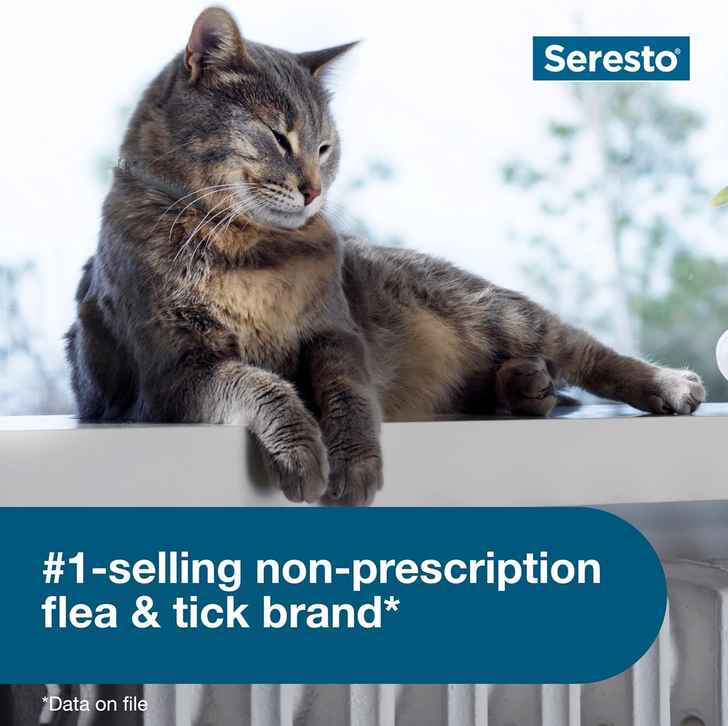 Seresto para Gatos - Foto 3
