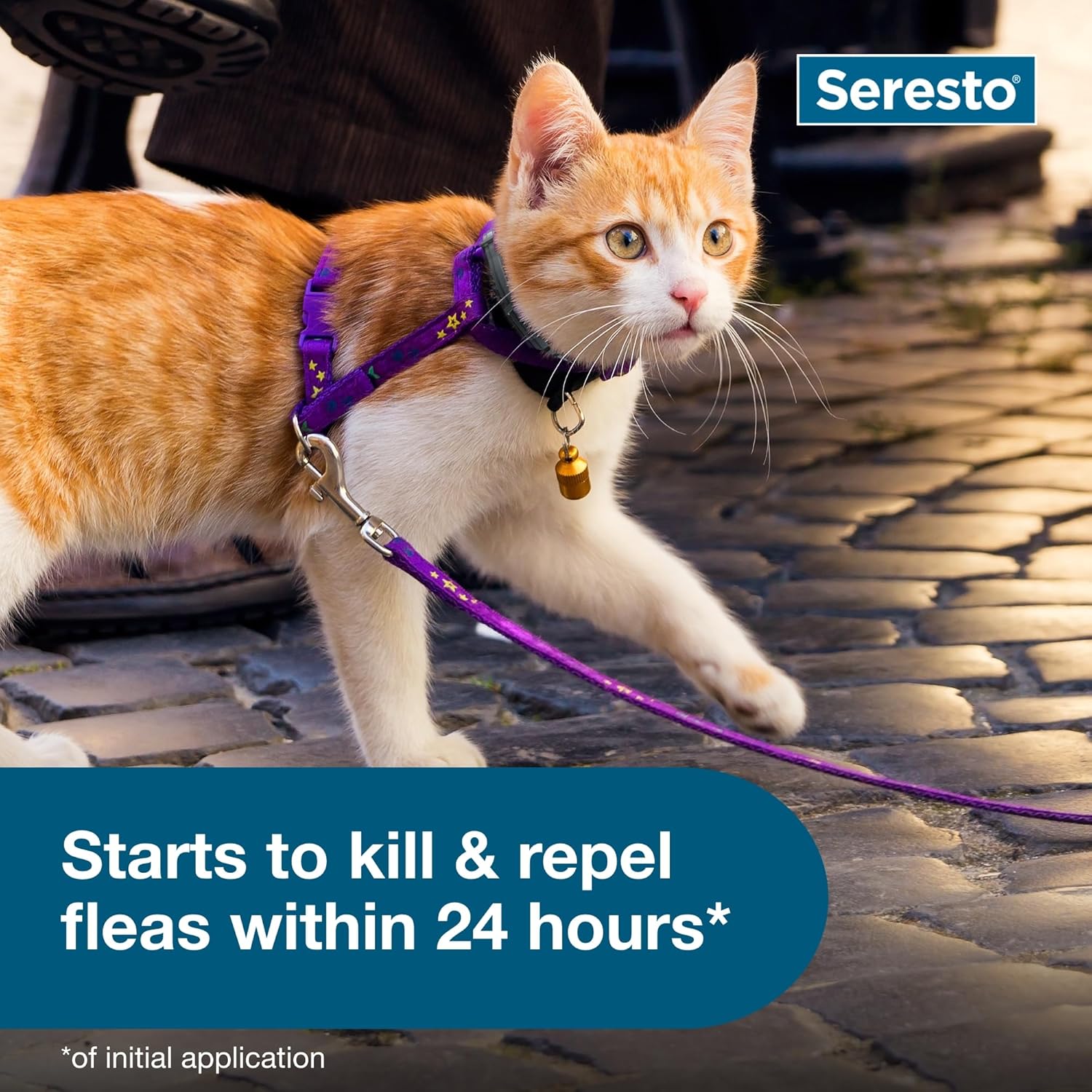 Seresto para Gatos - Foto 6