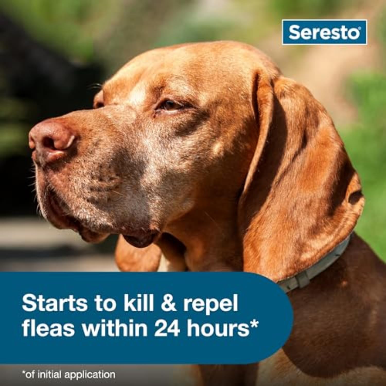 Seresto para Perros Grandes - Foto 4
