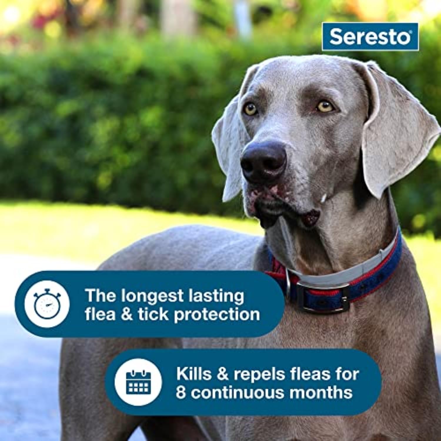 Seresto para Perros Grandes - Foto 5