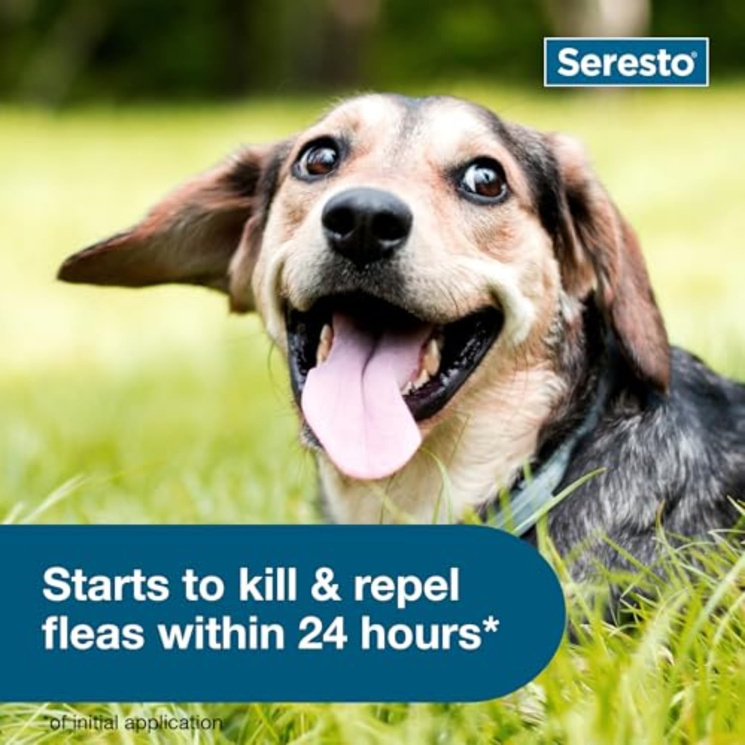 Seresto para Perros Pequeños - Foto 4